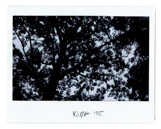 kira-1-5b766364bd57abde4152208394eae6d6